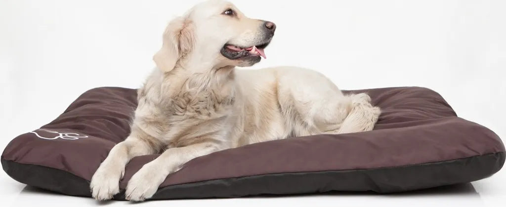  HobbyDog Hundematraze Schlafplatz Hundebett Tierbett Hundekissen Katzenbett - Eco - 100 X 70 Cm [Größe: XL] - Grau