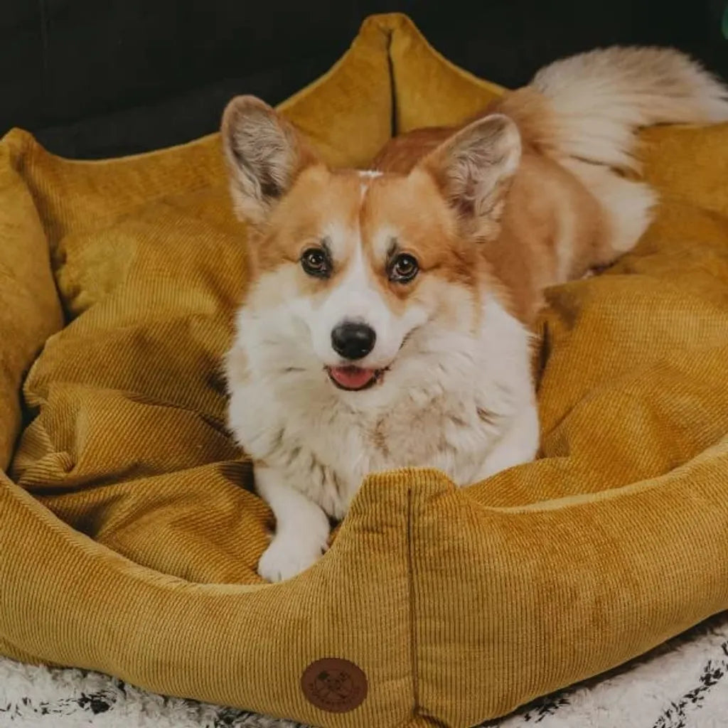  Hundebett Krone L - Gelb