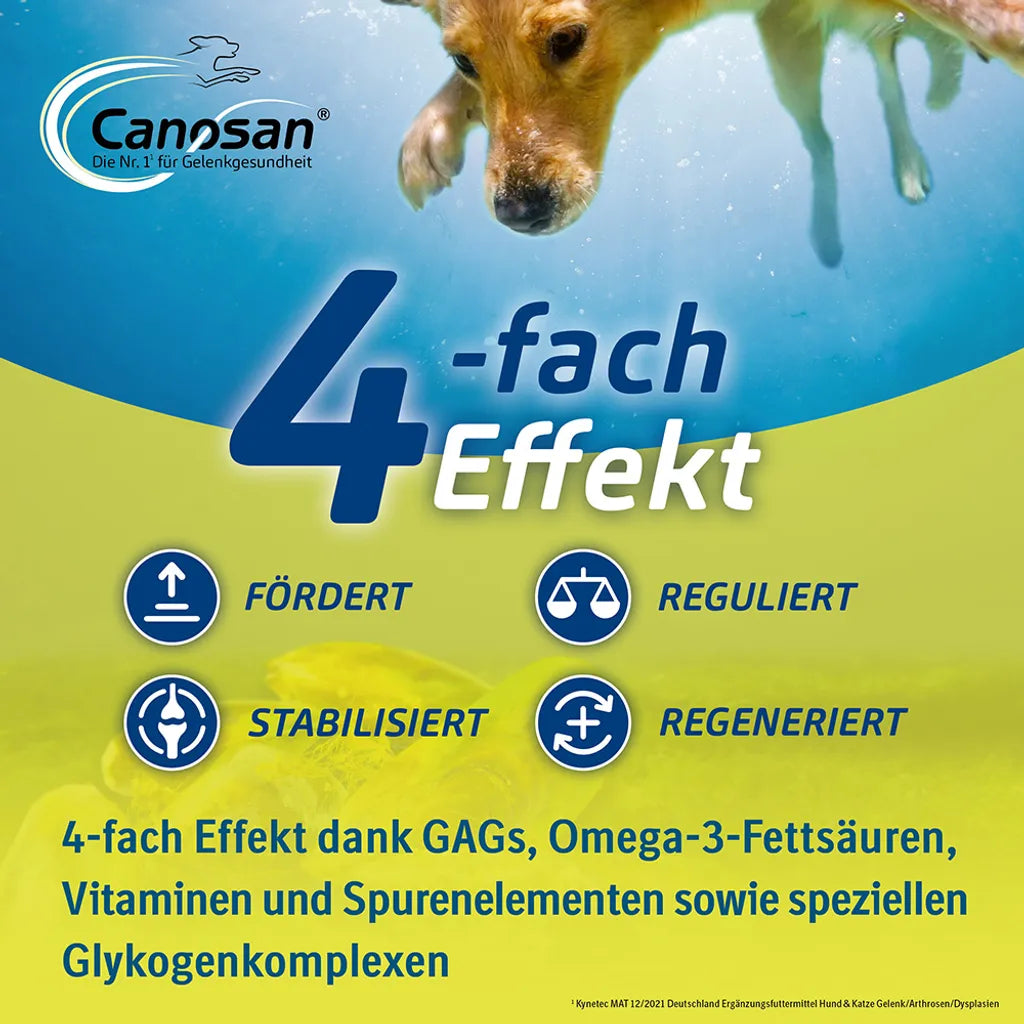  Canosan Konzentrat Vet. 1300 G