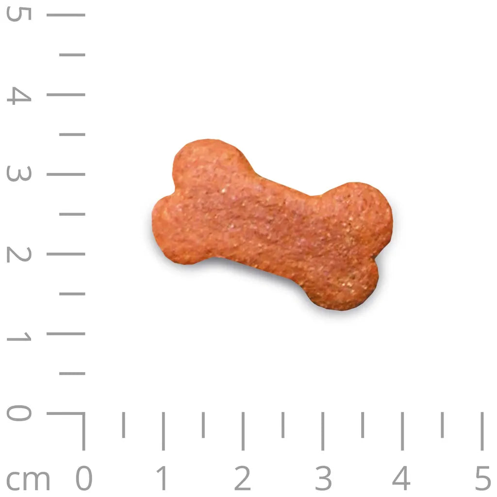  850g - Schecker Schinkenknochen Im Wieder Verschließbaren Frischeeimer - Leckerli Für Den Hund