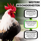  Futterautomat Mit Füßen, 4 Kg Grün I Hühner, Geflügel Futterspender I Automatischer Spender Für Hühnerfutter I Futterstation Aufhängbar I Wasserdichter Automat I Zubehör Zucht, Farming