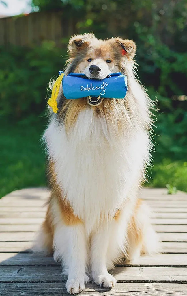  Rudelkönig Hunde-Futterspender Rudelkönig - Futterbeutel Für Hunde - Apportierdummy Zur Hundeerziehung, Widerstandsfähig, Wasserabweisend & Langlebi