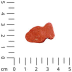  5x 200g Mini Fische Softsnack Mit Lachs - Hundefutter - Ideal Fürs Training - Nur 4% Fett