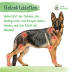  Gelenktabletten Für Hunde Mit Grünlippmuschel, Teufelskralle, MSM, Chondroitin, Glucosamin