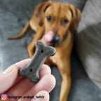  3x500g Schecker Digestiva - Hundekekse Mit Futterkohle - Bei Leichten Verdauungsproblemen