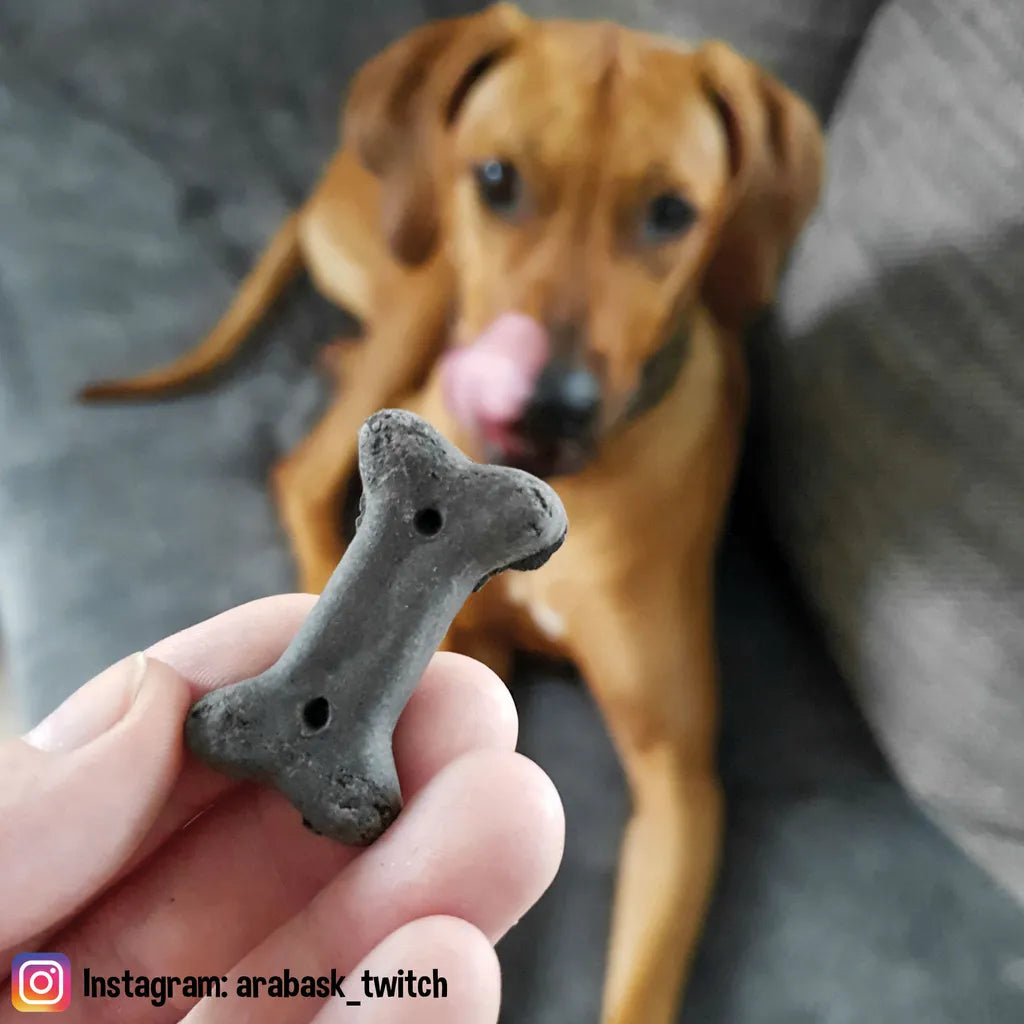  3x500g Schecker Digestiva - Hundekekse Mit Futterkohle - Bei Leichten Verdauungsproblemen