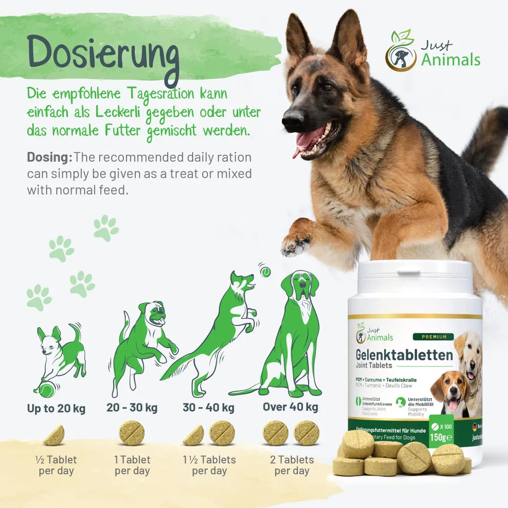  Gelenktabletten Für Hunde Mit Grünlippmuschel, Teufelskralle, MSM, Chondroitin, Glucosamin