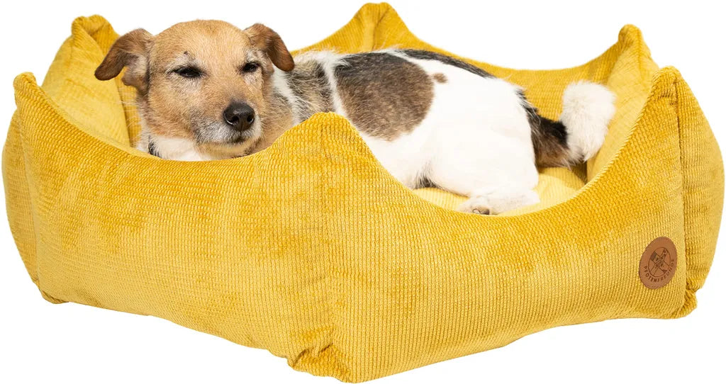  Hundebett Krone L - Gelb