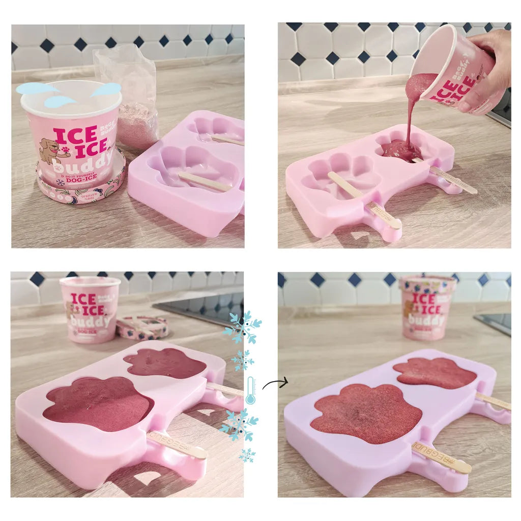  Beg Buddy | Hundeeis Pulver Erdbeere Kokosnuss 66g