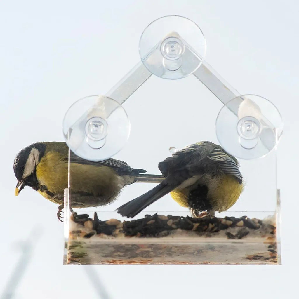  ProGarden Vogelhäuschen Futterhäuschen Futterstation Transparent Mit Saugnäpfen Für Fensterscheiben 15x15x6 Cm