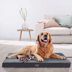  Juskys Hundebett Milow Orthopädisch 92x69cm - Hundekissen Flauschig & Stabil - Bezug Abnehmbar & Waschbar – Hundematte Für Mittlere Hunde - Grau