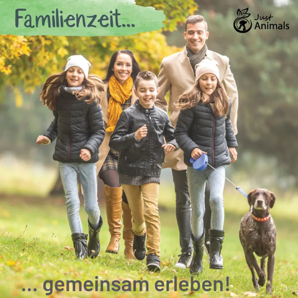  Gelenktabletten Für Hunde Mit Grünlippmuschel, Teufelskralle, MSM, Chondroitin, Glucosamin