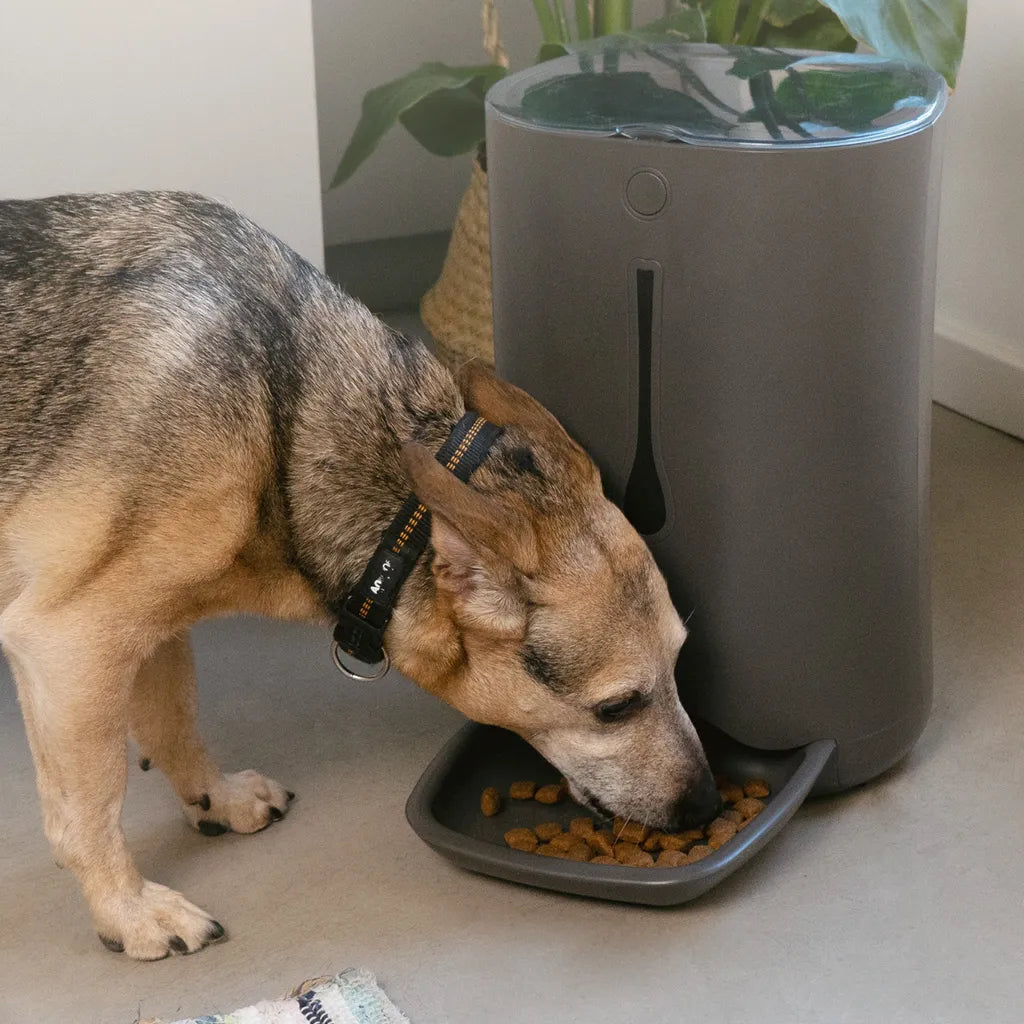 Navaris Automatischer Futterautomat Futterspender Mit Timer - 6L Futternapf Automat Mit Timer Und Akustischer Benachrichtigung - Für Hund Und Katze