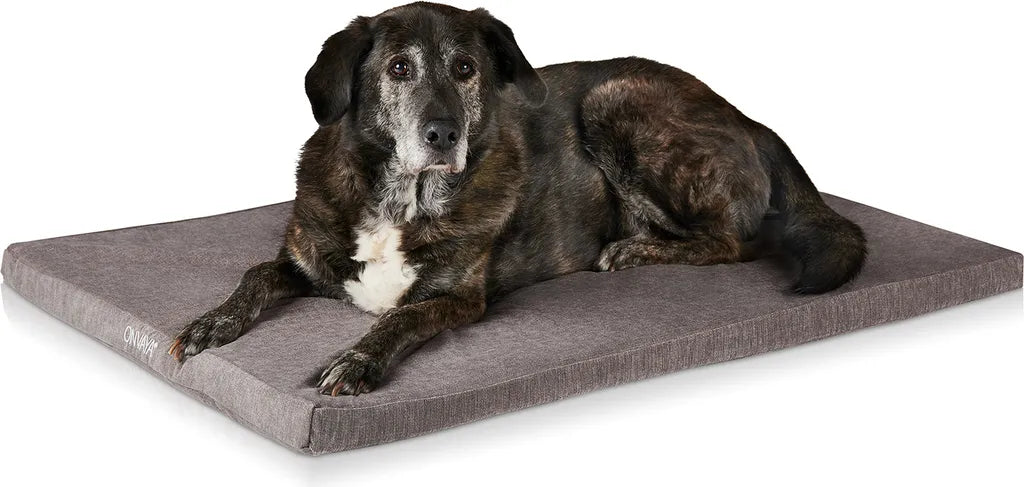  ONVAYA® Hundebett | Größe XXL | 112 X 74 X 5 Cm | 95 Grad Waschbar | Orthopädisch | Grau | Wasserdicht | Hundekissen | Liegekissen | Schlafplatz | Tierbett | Ruheplatz | Hundematte | Hundematratze
