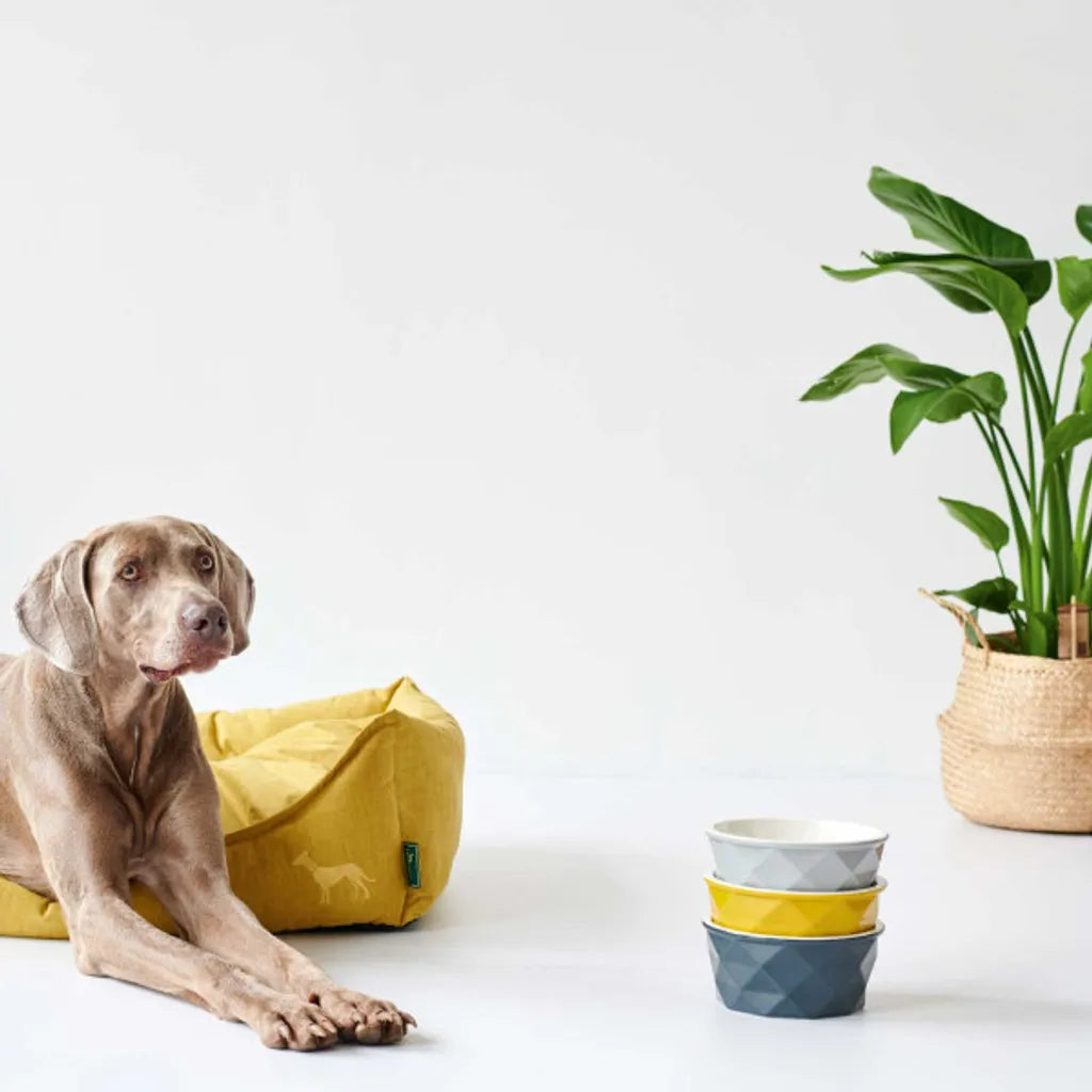  Hunter Hundesofa Eiby, Größe:L, Farbe:gelb