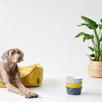  Hunter Hundesofa Eiby, Größe:L, Farbe:gelb