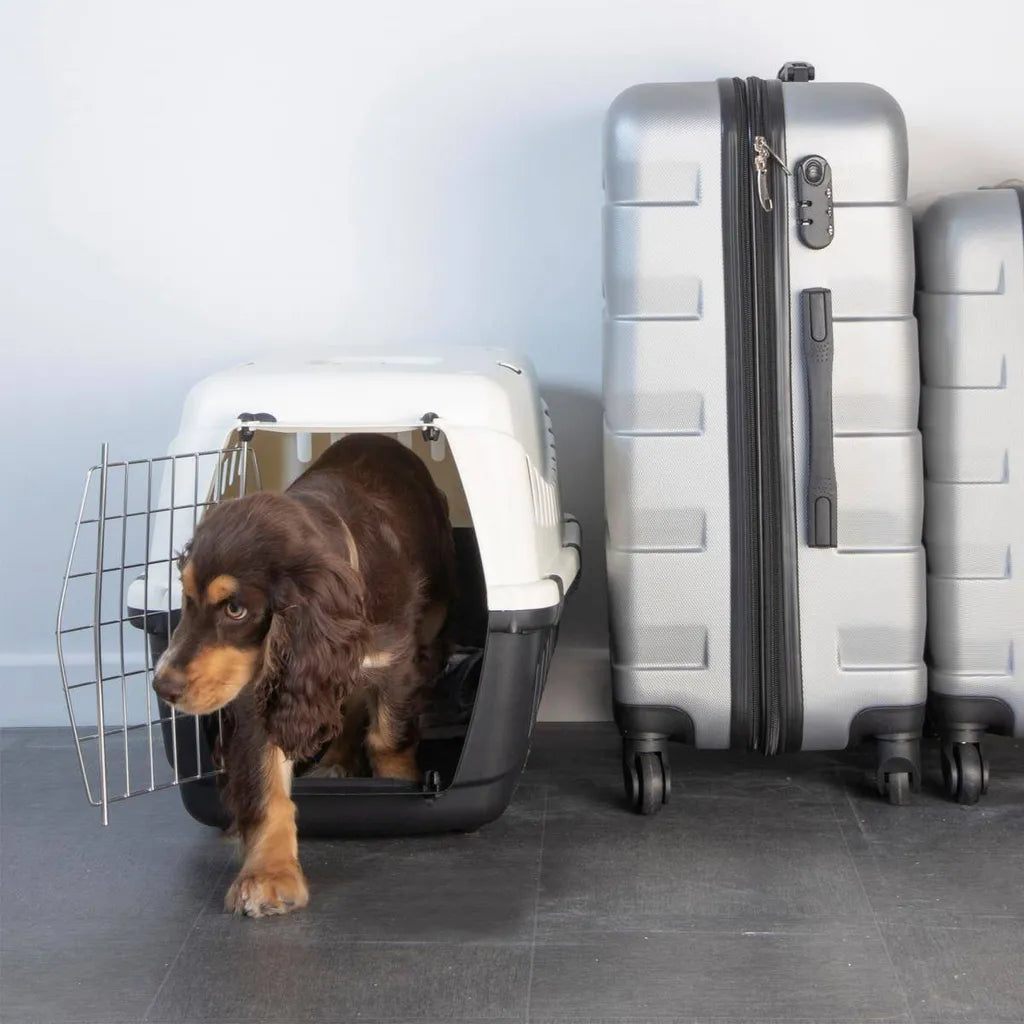  Transportbox SANS Für Hund, 58 X 38 X 38 Cm