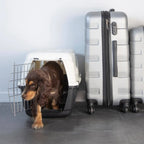  Transportbox SANS Für Hund, 58 X 38 X 38 Cm