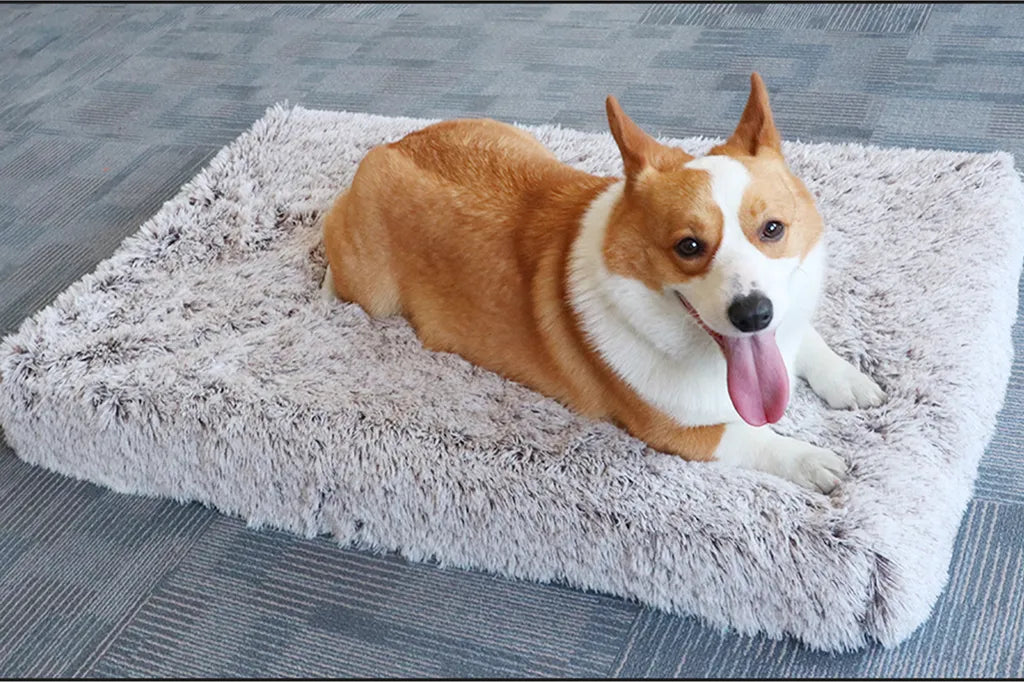  The Pets Smile Plüsch Hundekorb,Hundesofa,Hundekissen,Hundebett,Hundekörbchen,waschbar, Plüsch Kissen, Für Große Hunde