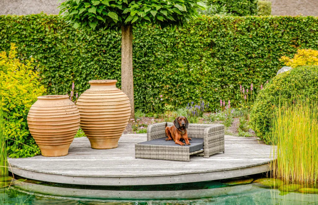  Hunde-Sofa Bahia, Ausziehbar