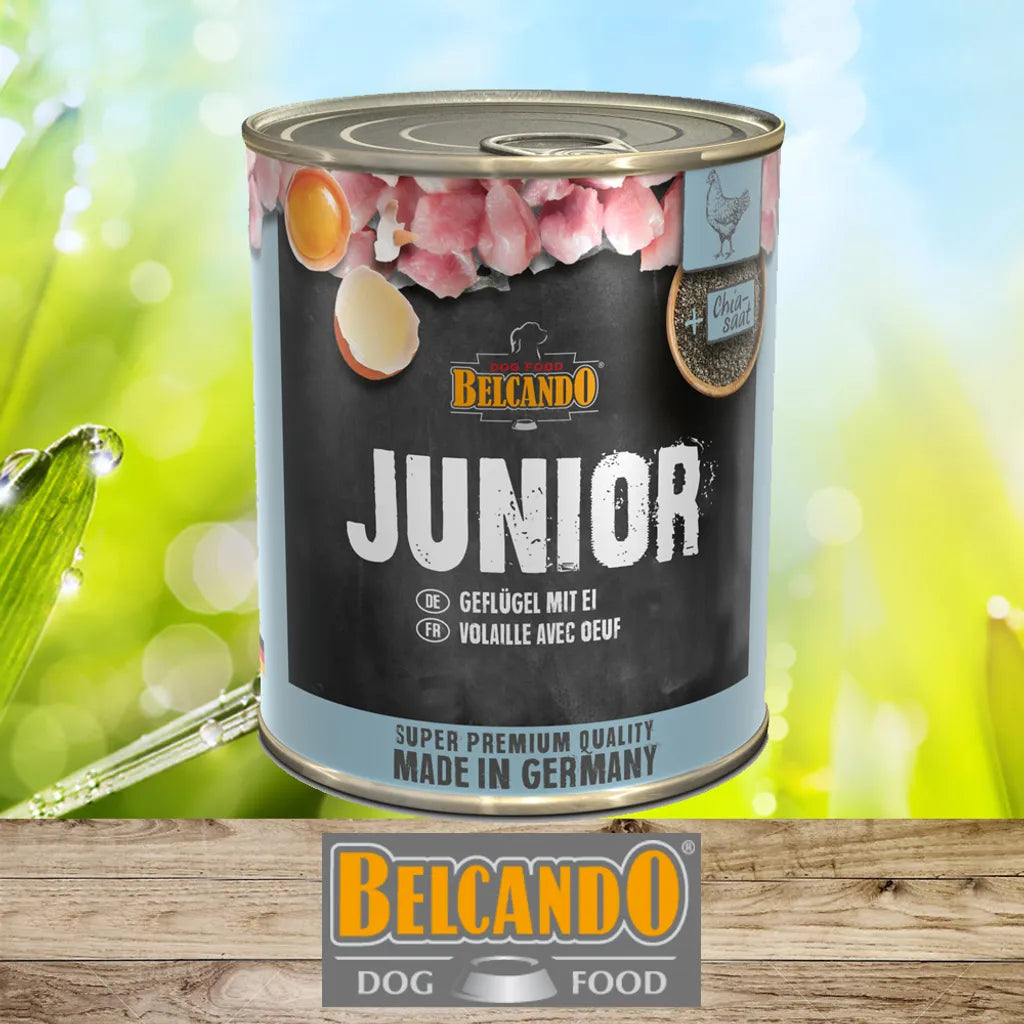  BELCANDO Junior Geflügel & Ei 800 G