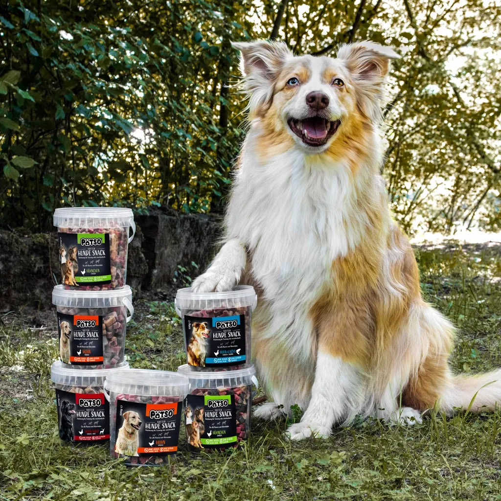  PÄTSO Hunde Snack Trainingssnack, 500g - Huhn - Bone Mix
