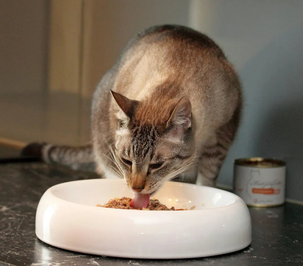  Lucky-Kitty Premium-Katzenfutter Probeset (8 X 200 Gramm = 1,6kg)
