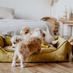  Hunter Hundesofa Eiby, Größe:L, Farbe:gelb