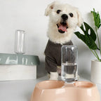  Fütterung Hundenäpfe Katzennapf Futterspender Wasserspender Futternapf Haustiere Hund Katze Futterstation Futterautomat Für Trockenfutter (Grau)