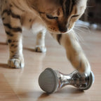  Katzenfutter Spielzeug: Premium Snack Spender & Futterball