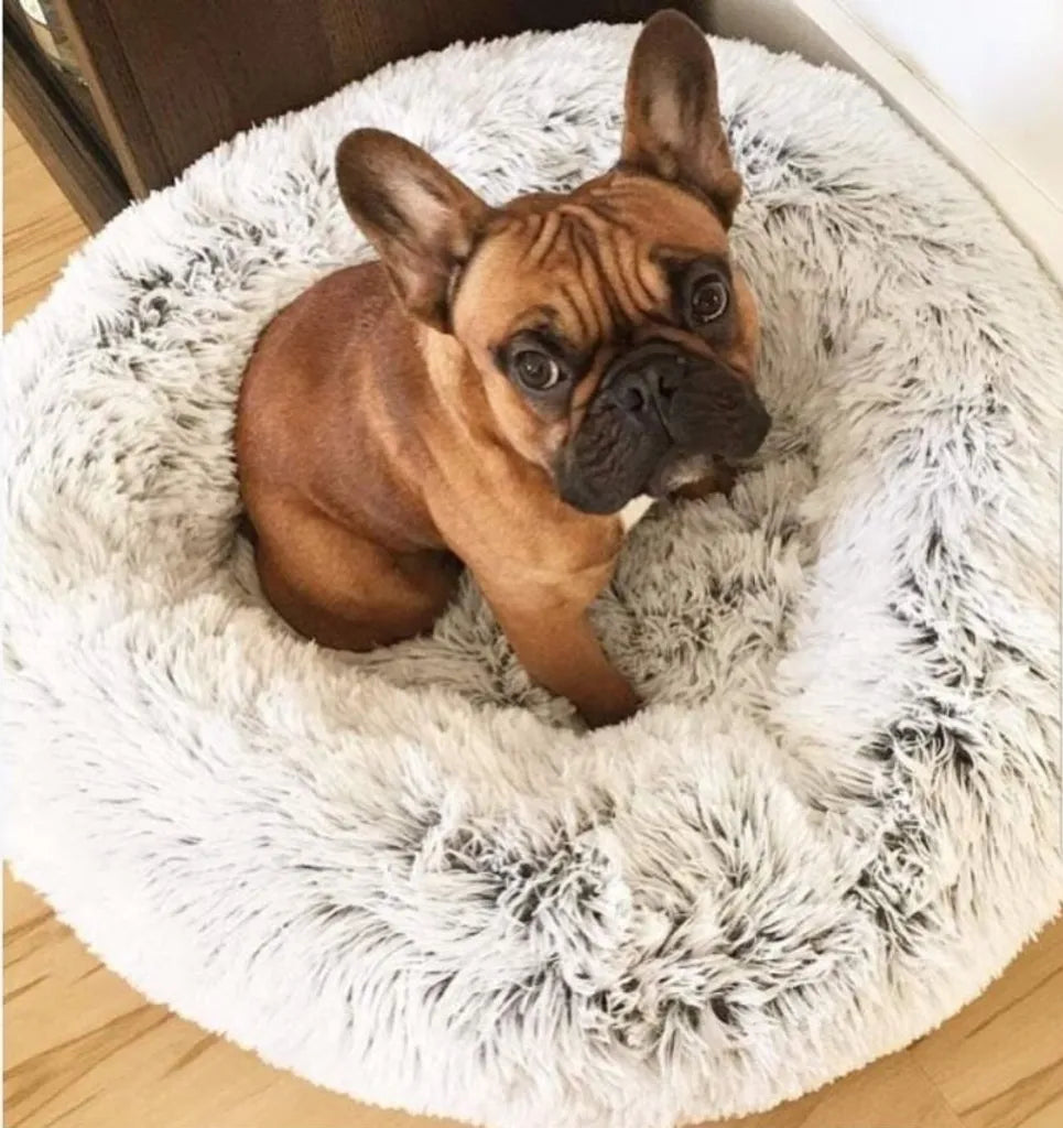  Hundebett Katzenbett Flauschige Hundekissen Haustier Tierbett Hundekorb Kissen Weiches Plüsch Rundes Haustierbett Grau 60 Cm