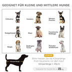  PawHut Hundesofa 2 In 1 Haustiersofa Und Hundeliege Katzensofa Erhöhtes Hundebett Schlafplatz Für Katzen Hunde Abnehmbar Oxfordstoff Grau 80 X 59 X 36 Cm