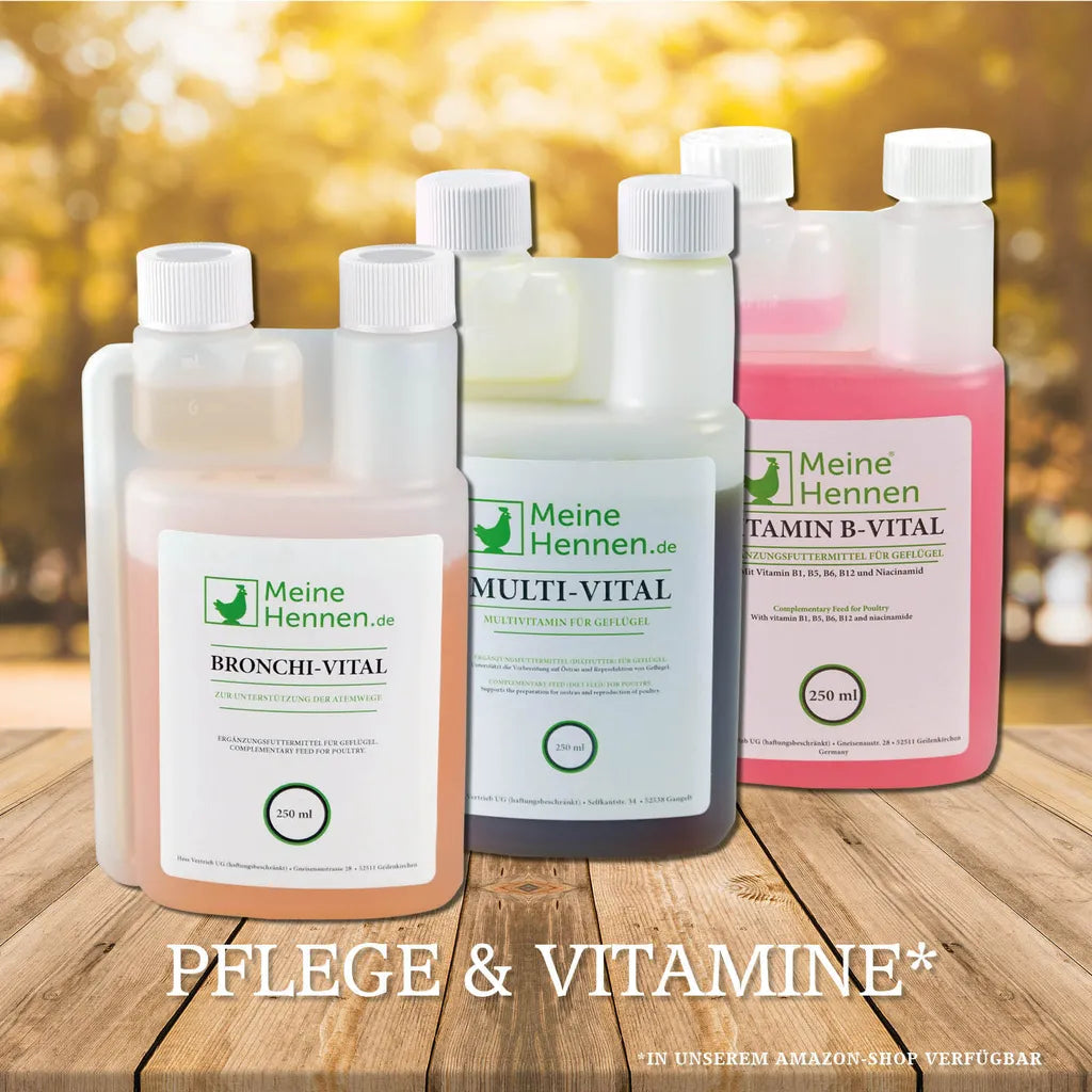  Meine Hennen Vitamin B- Vital 250 Ml, Vitamin B-Komplex Ergänzungsfuttermittel Für Hühner, Tauben Und Wachteln. Für Ihr Geflügel Zur Unterstützung Eines Normalen Nervensystems Und Stoffwechsels.