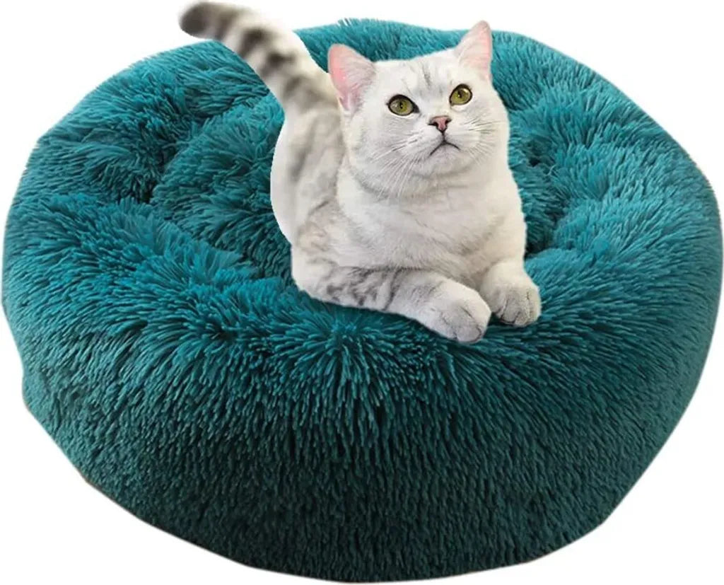  Hundebett Tierbtt Katzenbett Hundesofa Katzensofa Kissen Flauschig, Weich U. Waschbar Für Katzen Hunde 60CM-Cyan