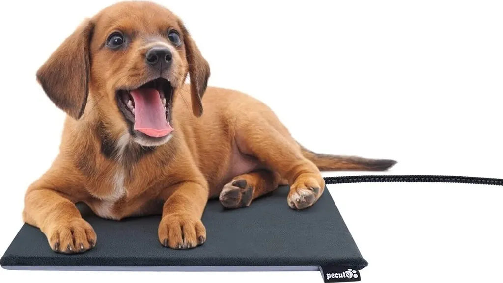  Pecute Haustier Heizkissen, Hundebett Kleine Hunde Katze Wasserdicht, Harte Wärmematte Hundekissen Waschbar Mit Konstante Temperatur, Innen- Und Außen, L 40*50cm