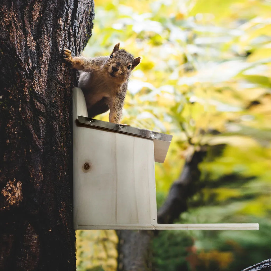  Navaris Eichhörnchen Futterhaus Wetterfest Aus Holz Und Metall - Futterkasten Futterautomat Für Garten Balkon - Futterstation Mit Prellschutz