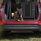  Relaxdays Hundebox Auto XL Mit Trennwand