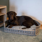  Hundebetten Hundebett Hundekorb Schlafplatz Hund Grau 84 Cm Kissen Bett Korb