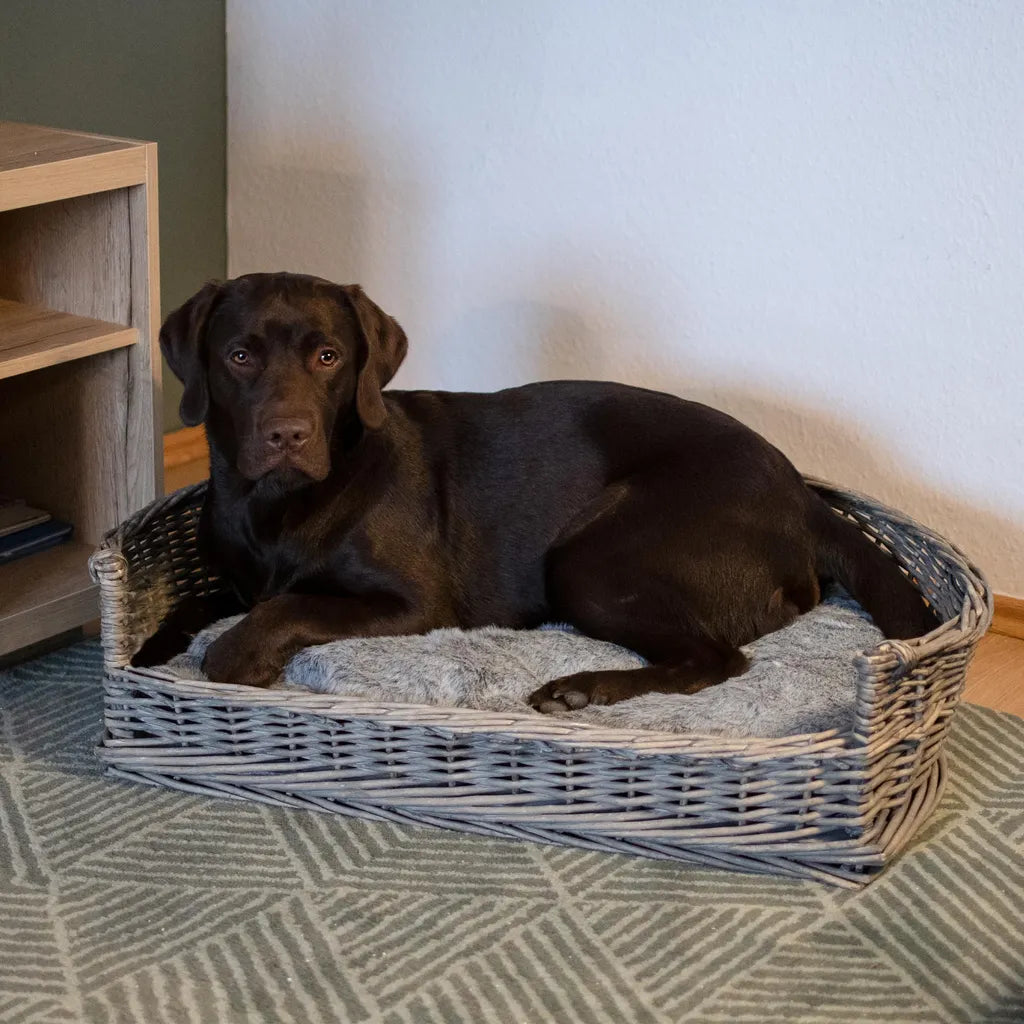  Hundebetten Hundebett Hundekorb Schlafplatz Hund Grau 84 Cm Kissen Bett Korb