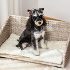  PawHut Haustiersofa Hundebett Rattan Mit Kissen Vier Füßen Haustierbett Katzenbett Hundekorb Hundesofa Für Kleine Hunde Hellgrau+Weiß 70,5 X 40 X 37,5 Cm