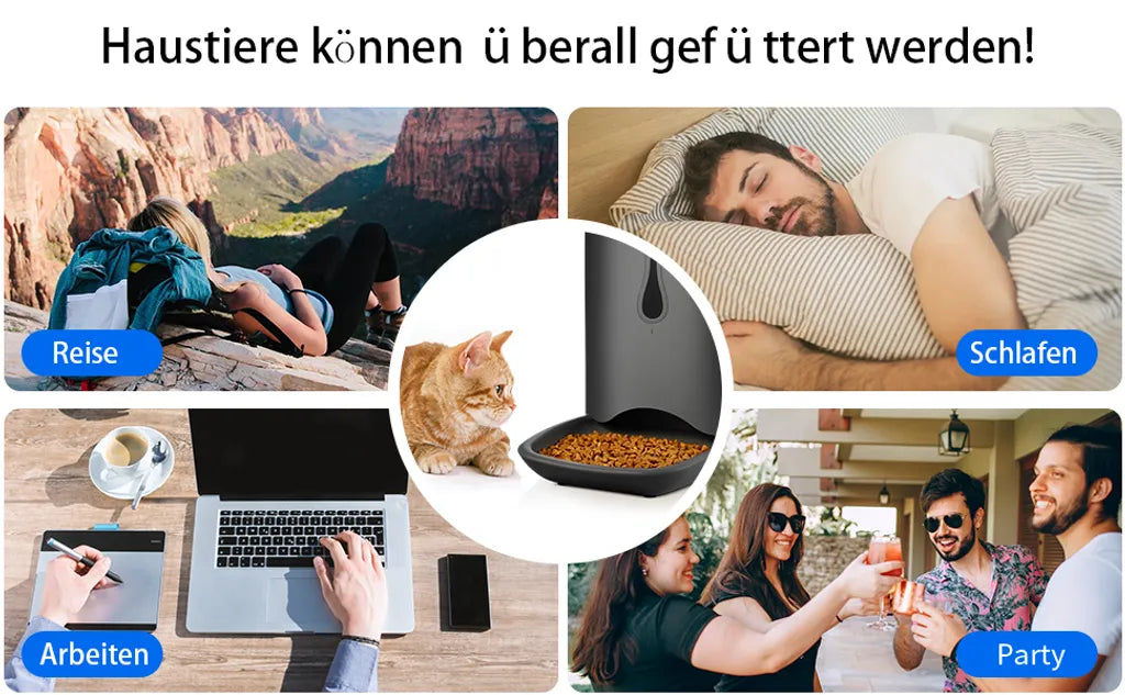  P&K 6,5L Automatischer Futterautomat Für Katzen Und Hunde Mit LCD, 8s Soundaufnahmefunktion, 1-4 Mahlzeiten Pro Tag, Schwarz