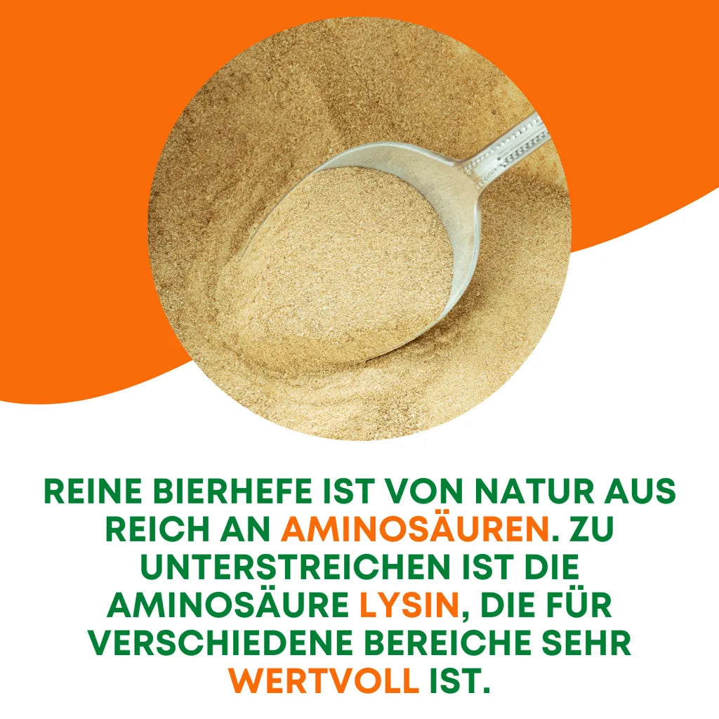  Reine Bierhefe Hund 400g I Pulver Für Hunde, Katzen & Pferde I Naturprodukt Für Haut Und Schönes Fell I Reich An B, E & H-Vitaminen
