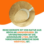  Reine Bierhefe Hund 400g I Pulver Für Hunde, Katzen & Pferde I Naturprodukt Für Haut Und Schönes Fell I Reich An B, E & H-Vitaminen