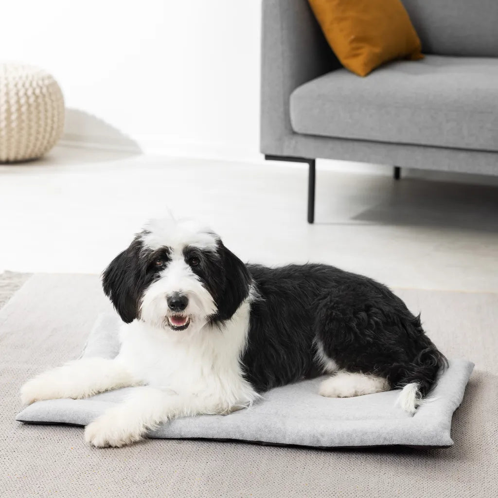 Navaris Hundebett Hundekissen Decke Für Reisen - Bett Liegedecke Für Hunde - Hundematte Hundedecke Kissen Reisedecke - Waschbar