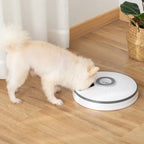  PawHut Futterautomat Mit 6 Fächern Für Katzen Hunde Haustiere Automatisch 4 Mahlzeiten Programmierbarer Futterspender Mit LED-Display Timer Weiß+Grau Ø30,5 X 7,2H Cm