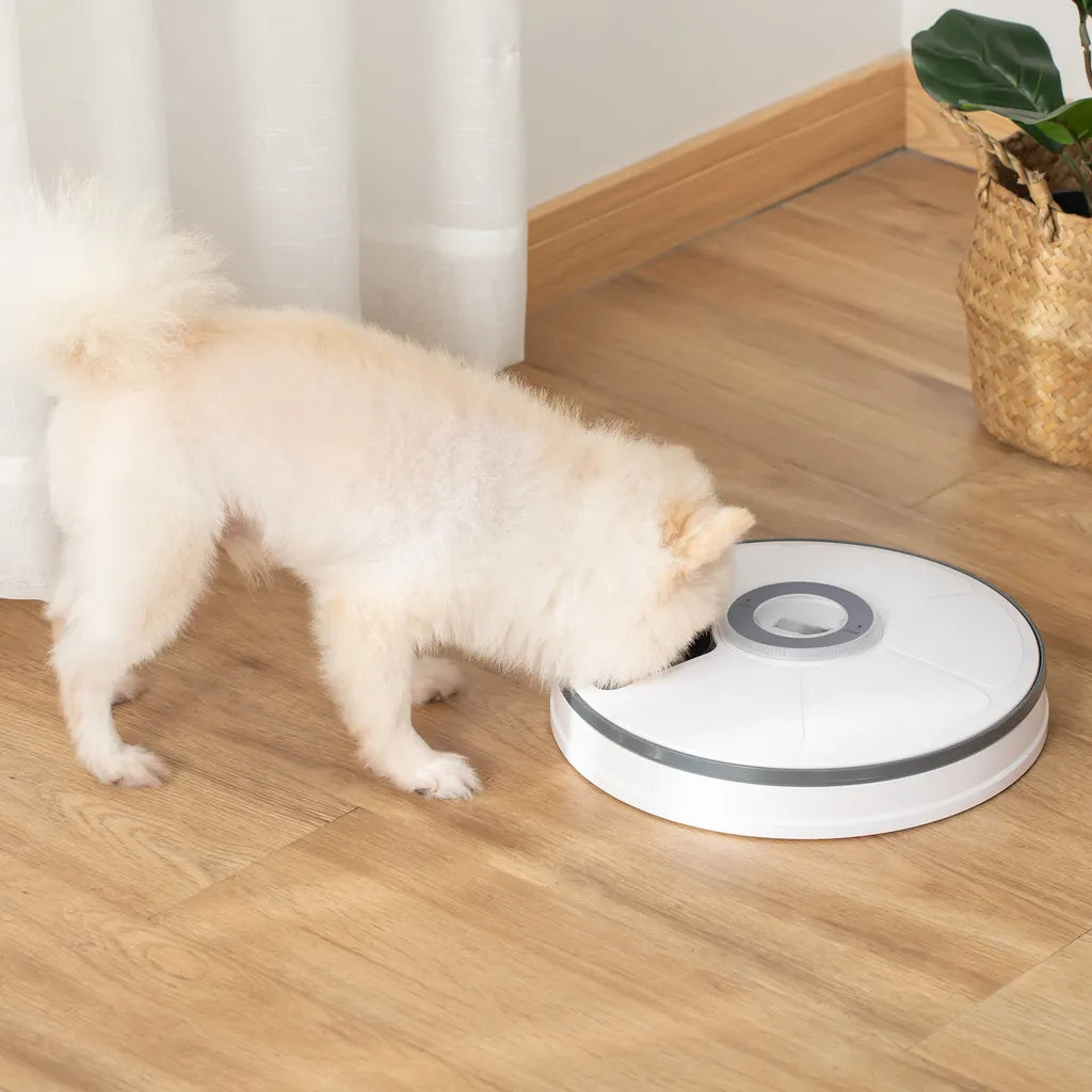  PawHut Futterautomat Mit 6 Fächern Für Katzen Hunde Haustiere Automatisch 4 Mahlzeiten Programmierbarer Futterspender Mit LED-Display Timer Weiß+Grau Ø30,5 X 7,2H Cm