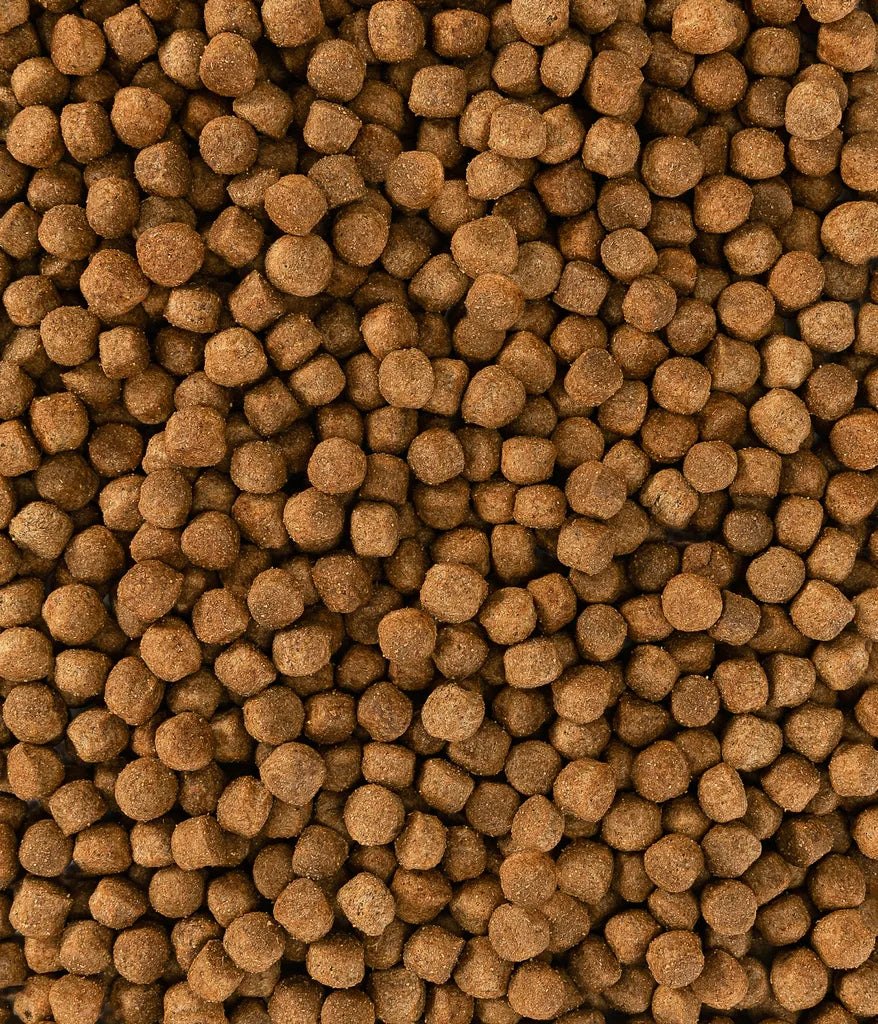  Dehner Hundetrockenfutter Adult, Knusper Mix Mit Rind, Lamm, Fisch, Kaninchen Und Geflügel, 12 Kg