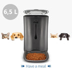  P&K 6,5L Automatischer Futterautomat Für Katzen Und Hunde Mit LCD, 8s Soundaufnahmefunktion, 1-4 Mahlzeiten Pro Tag, Schwarz