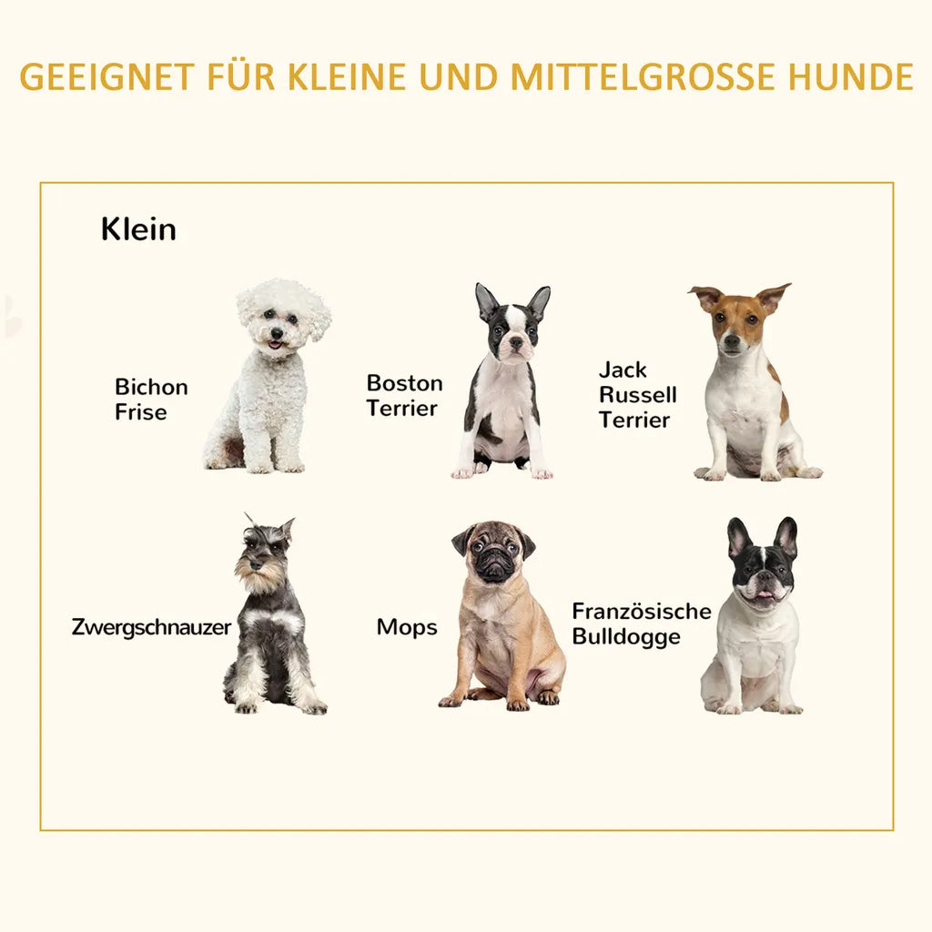  PawHut Erhöhtes Hundebett Mit Kissen Holzrahmen Haustierbett Hundeschlafplatz Für Kleine Hunde Schwarz 65 X 51 X 32 Cm