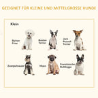  PawHut Erhöhtes Hundebett Mit Kissen Holzrahmen Haustierbett Hundeschlafplatz Für Kleine Hunde Schwarz 65 X 51 X 32 Cm